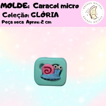 CARACOL MICRO