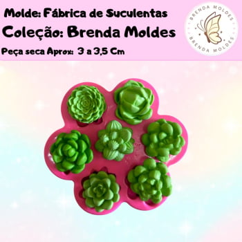 MOLDE SUCULENTAS